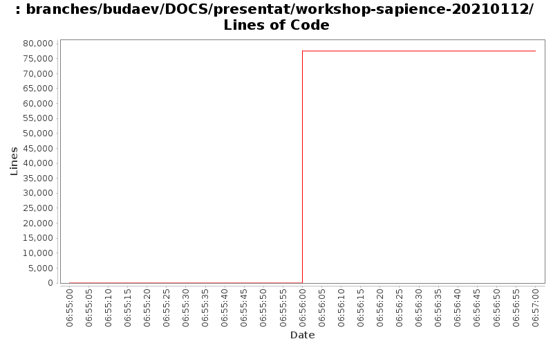 branches/budaev/DOCS/presentat/workshop-sapience-20210112/ Lines of Code