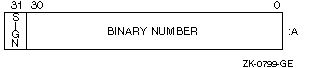 INTEGER(4) Data Representation